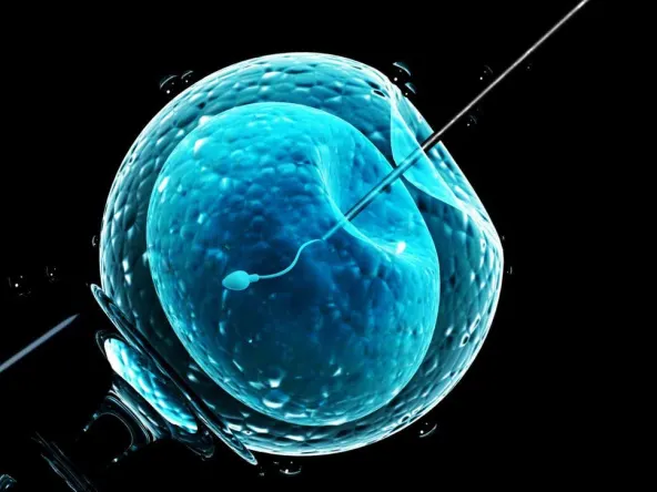 NY State Legislation Expanding IVF Insurance Coverage Starts Jan 1st.